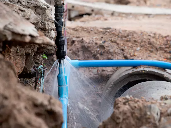Burst Pipe Cleanup in Forest Park