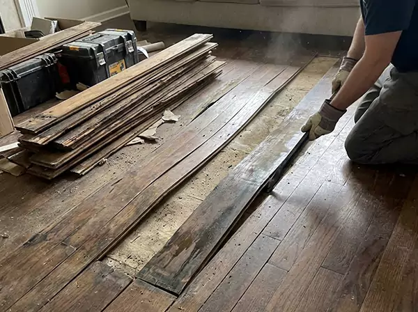 Water Damage Drying in Forest Park