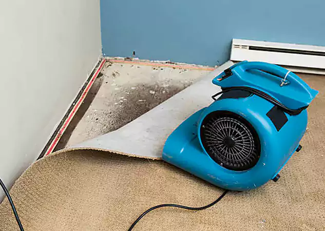 Your Water Damage Experts in Forest Park, GA