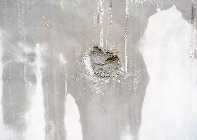 Your Mold Mitigation Solutions Partner in Forest Park, GA