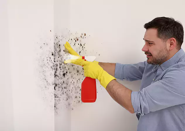Your Water Mold Fire Restoration Partner in Forest Park, GA