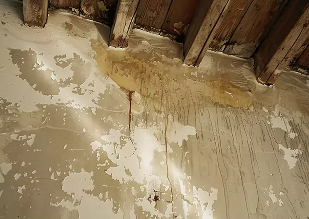 Your Trusted Restoration Company in Forest Park, GA