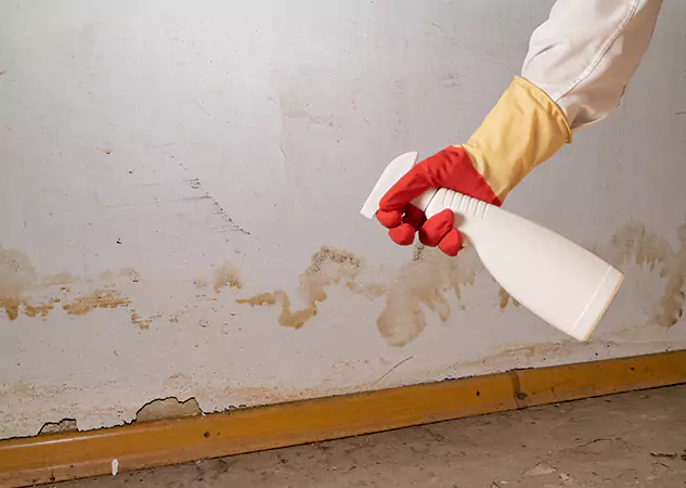 Your Water Restoration and Mold Remediation Specialists in Forest Park, GA