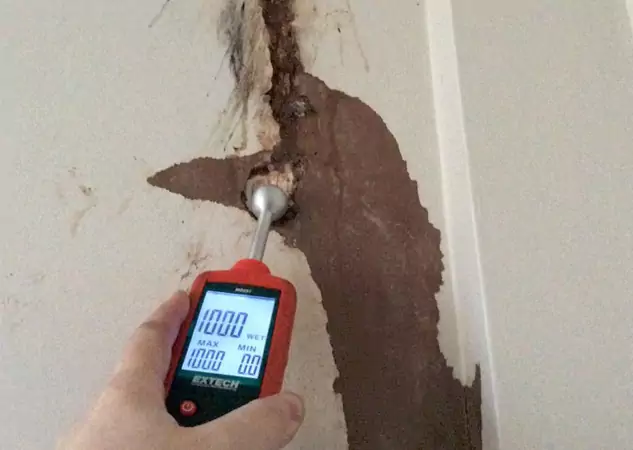 Your Water Damage Assessment Partner in Forest Park, GA