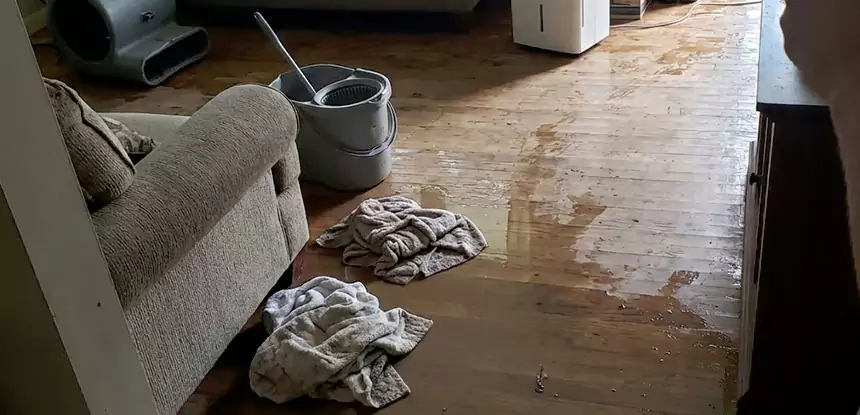 Professional Basement Water Remediation Services in Forest Park, GA