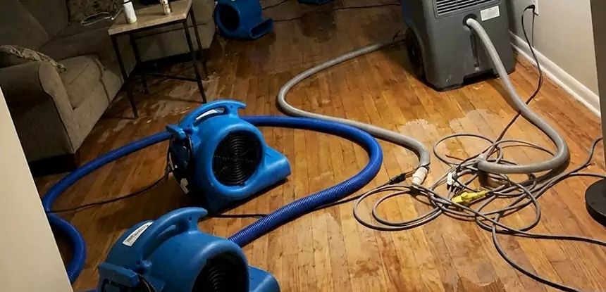 Basement Flood Restoration Services in Forest Park
