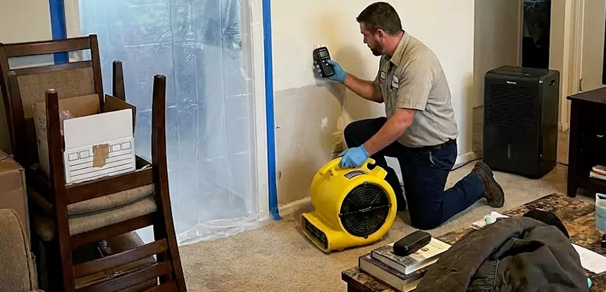 Carpet Water Damage Repair Forest Park