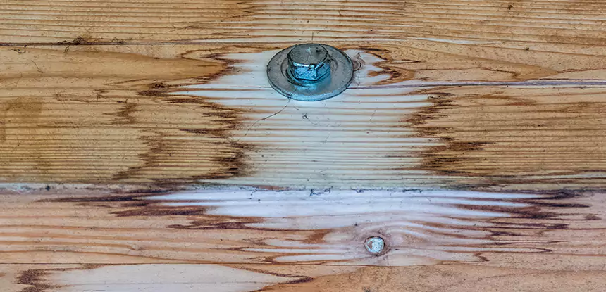 Fixing Water Marks on Wood in Forest Park
