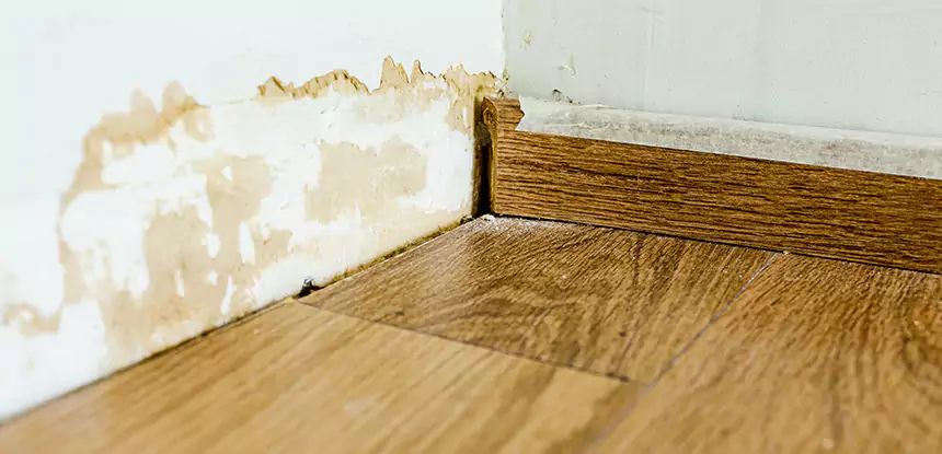 Professional Fix Water Damaged Wood Services in Forest Park, GA