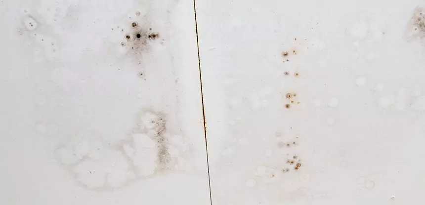 Professional Water Stain Repair Services in Forest Park, GA