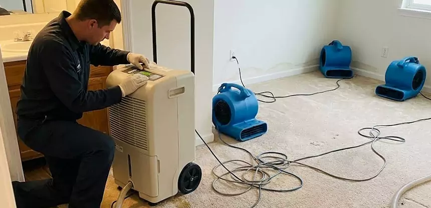 Professional Wet Carpet Removal Services in Forest Park, GA