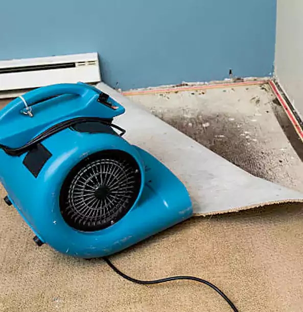 Why Forest Park Trusts Forest Park Restoration Pro for Carpet Flood Recovery?
