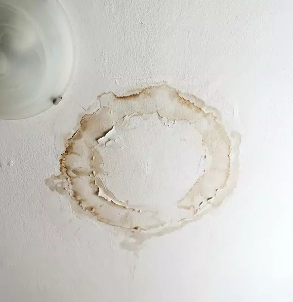 Why Forest Park Property Owners Choose Forest Park Restoration Pro for Ceiling Water Damage Restoration?