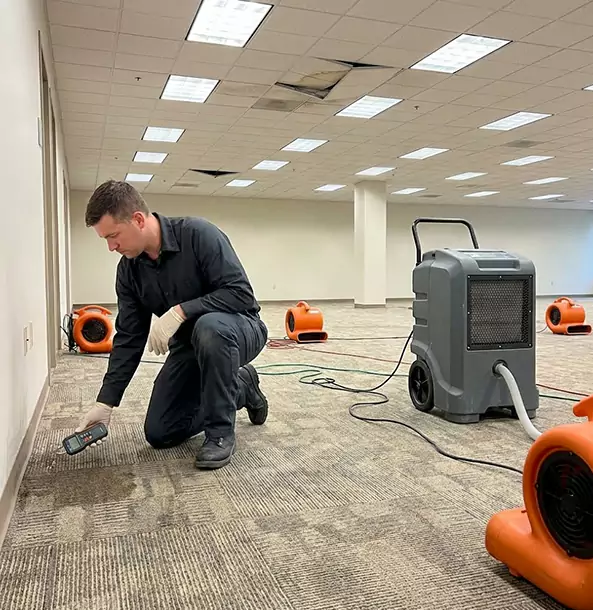 Why Forest Park Businesses Choose Forest Park Restoration Pro for Water Cleanup?