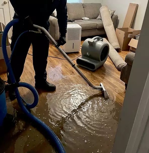Why Forest Park Trusts Forest Park Restoration Pro for Flood Cleanup?