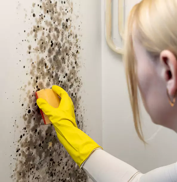 Why Forest Park Restoration Pro Leads Mold Remediation in Forest Park?