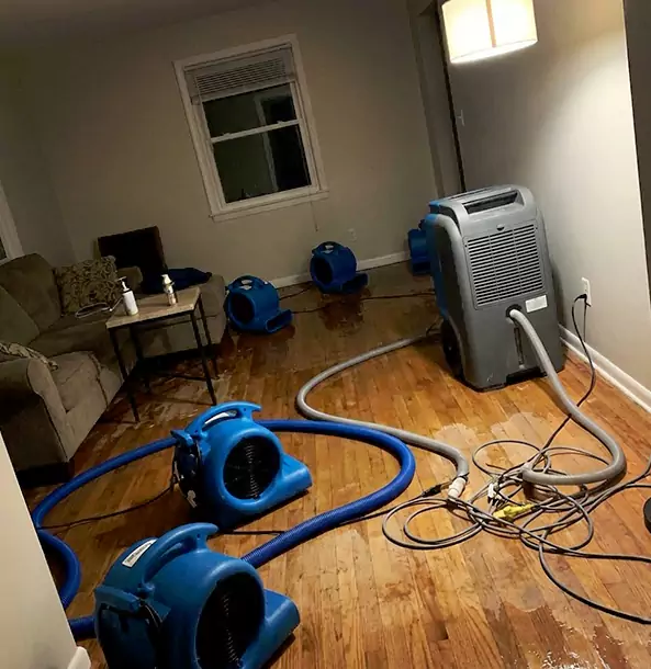 Why Forest Park Property Owners Rely on Forest Park Restoration Pro for Remediation?