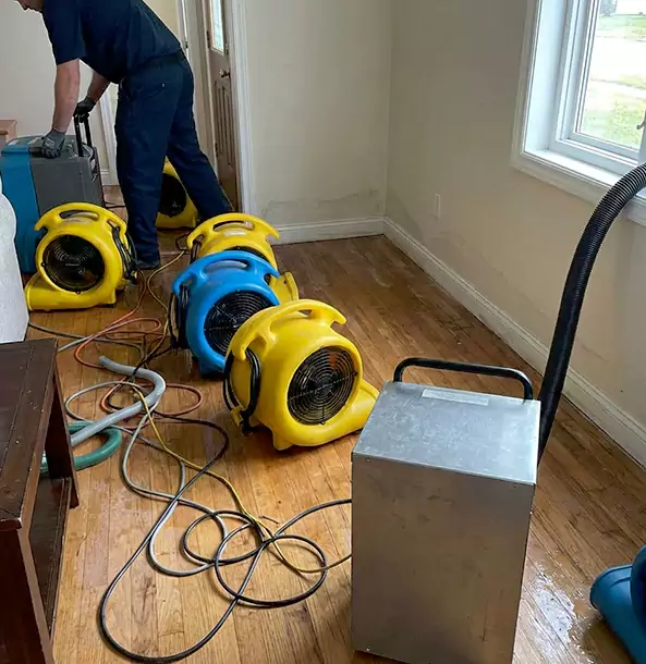 Why Forest Park Property Owners Choose Forest Park Restoration Pro for Remediation?