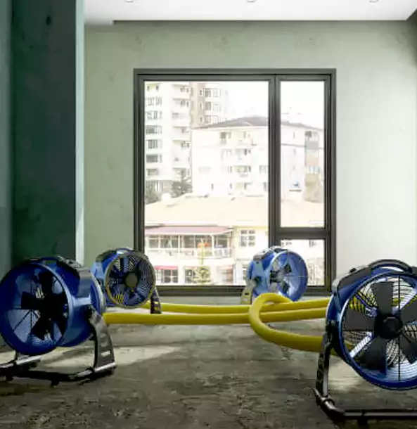 Why Forest Park Property Owners Trust Forest Park Restoration Pro for Water Damage Drying?