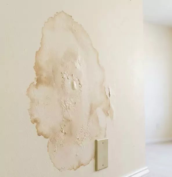 Why Forest Park Homeowners Trust Forest Park Restoration Pro for Drywall Restoration?
