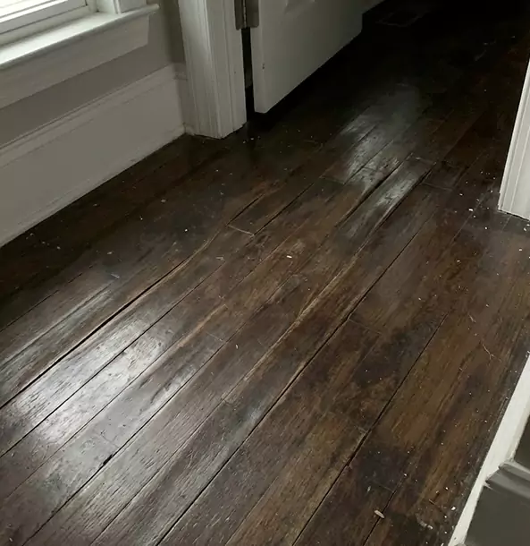 Why Forest Park Homeowners Trust Forest Park Restoration Pro to Fix Water Damaged Wood?