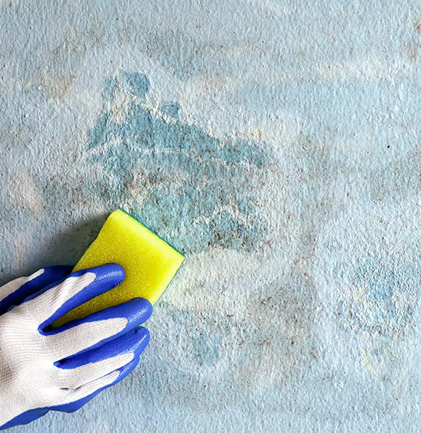Why Forest Park Restoration Pro Is the Right Choice in Forest Park, GA?