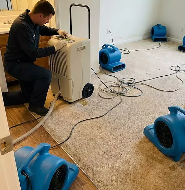 Why Forest Park Homeowners and Businesses Trust Forest Park Restoration Pro for Carpet Drying?