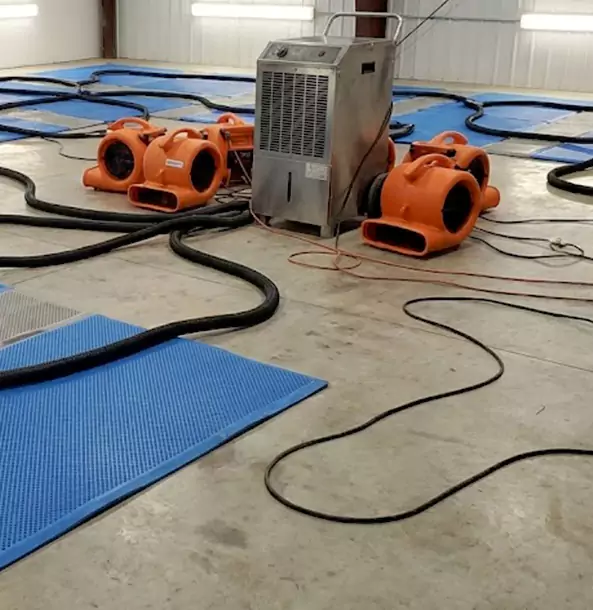 Why Forest Park Homeowners and Businesses Choose Forest Park Restoration Pro for Wet Carpet Removal?