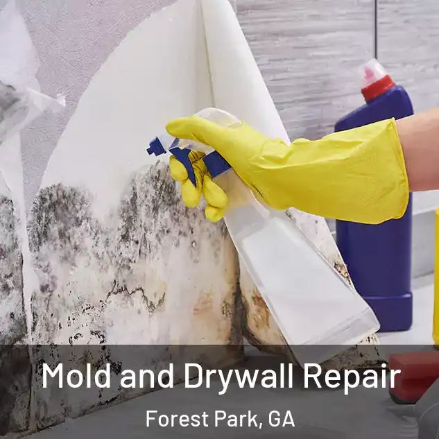  Mold and Drywall Repair Forest Park, GA
