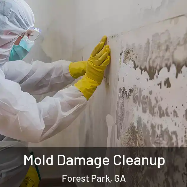  Mold Damage Cleanup Forest Park, GA