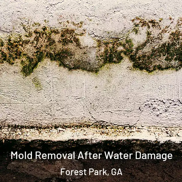  Mold Removal After Water Damage Forest Park, GA