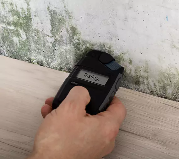Mold Remediation Service Forest Park