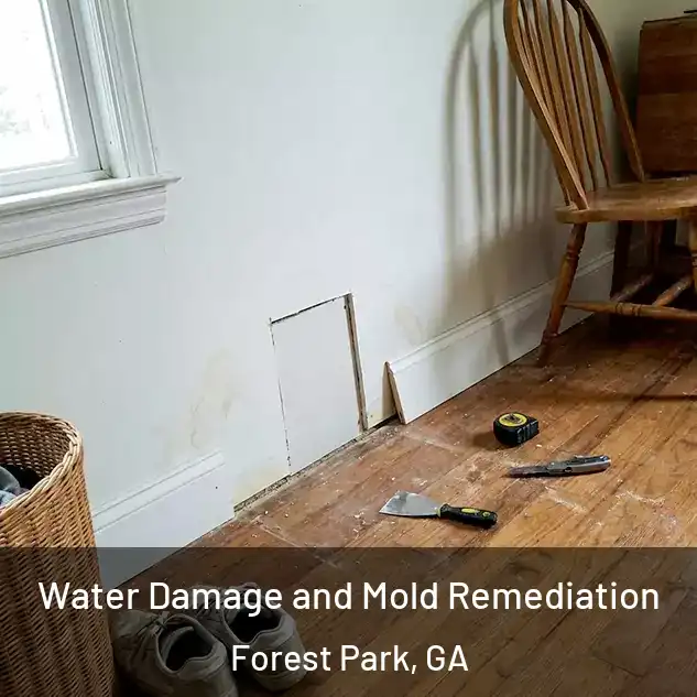  Water Damage and Mold Remediation Forest Park, GA