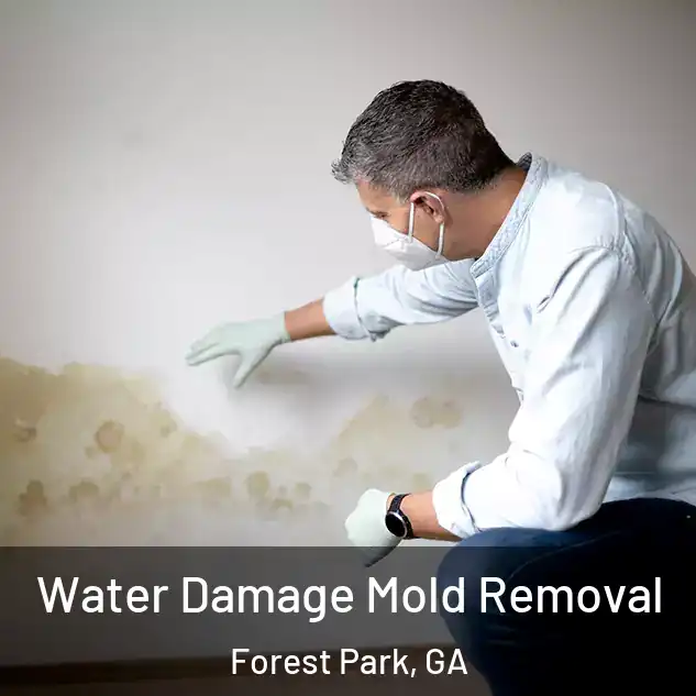  Water Damage Mold Removal Forest Park, GA