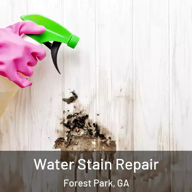  Water Stain Repair Forest Park, GA